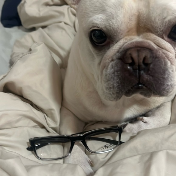 Oakley Black Frames (never worn) - Picture 10 of 11